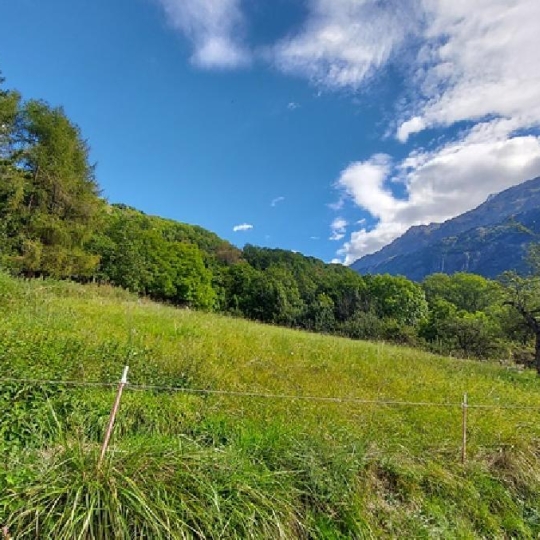 GRIET IMMO : Ground | VAUJANY (38114) | 2800.00m2 | 395 000 € 