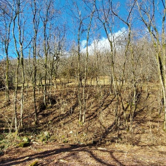  GRIET IMMO : Ground | ALLEMOND (38114) | 5 250 m2 | 515 000 € 
