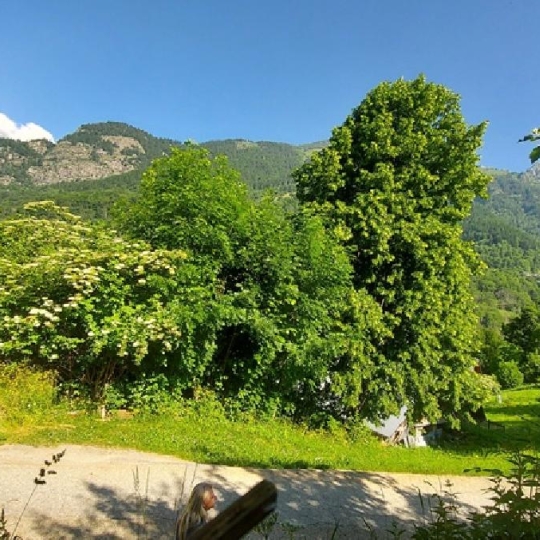 GRIET IMMO : Terrain | OZ (38114) | 409 m2 | 157 000 €   GRIET IMMO : Terrain | OZ (38114) | 409 m2 | 157 000 €