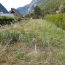  GRIET IMMO : Ground | ALLEMOND (38114) | 1 204 m2 | 77 000 € 