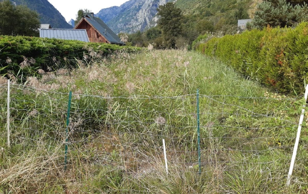 GRIET IMMO : Ground | ALLEMOND (38114) | 1 204 m2 | 77 000 € 